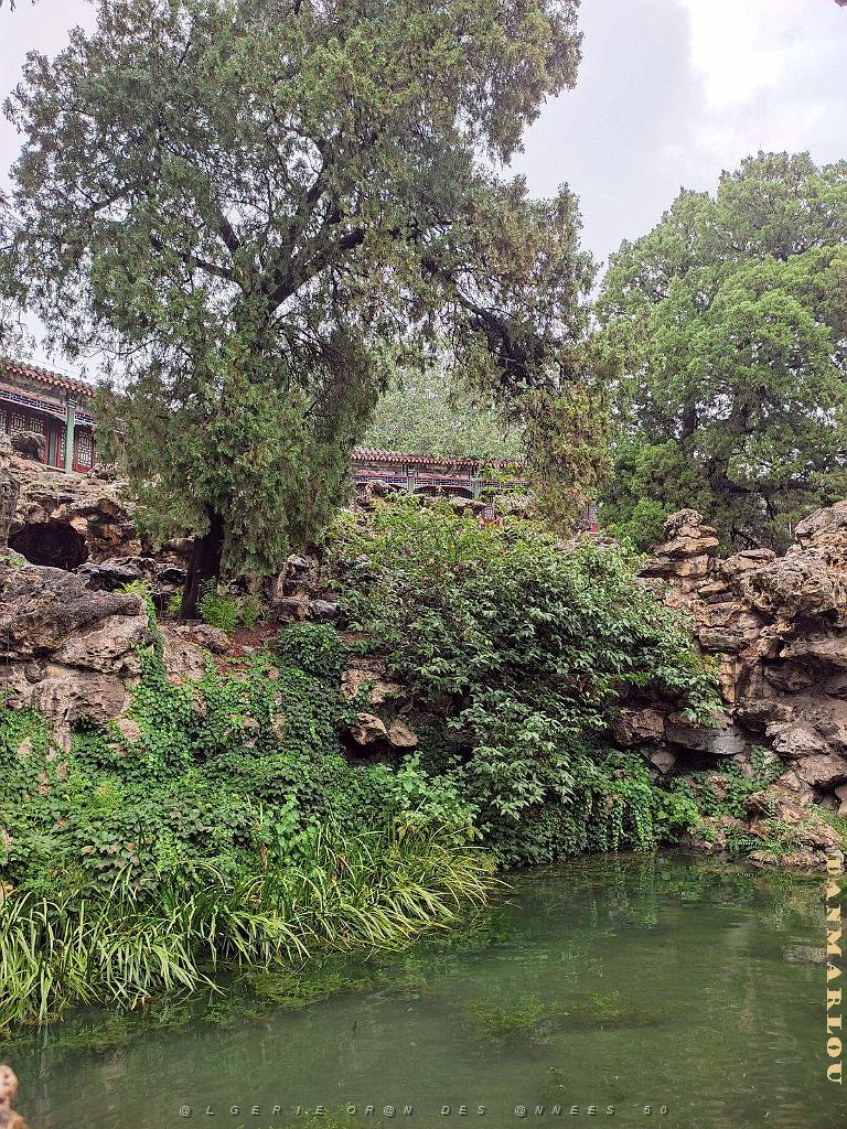 PEKIN - PARC BEIHAI (47).jpg